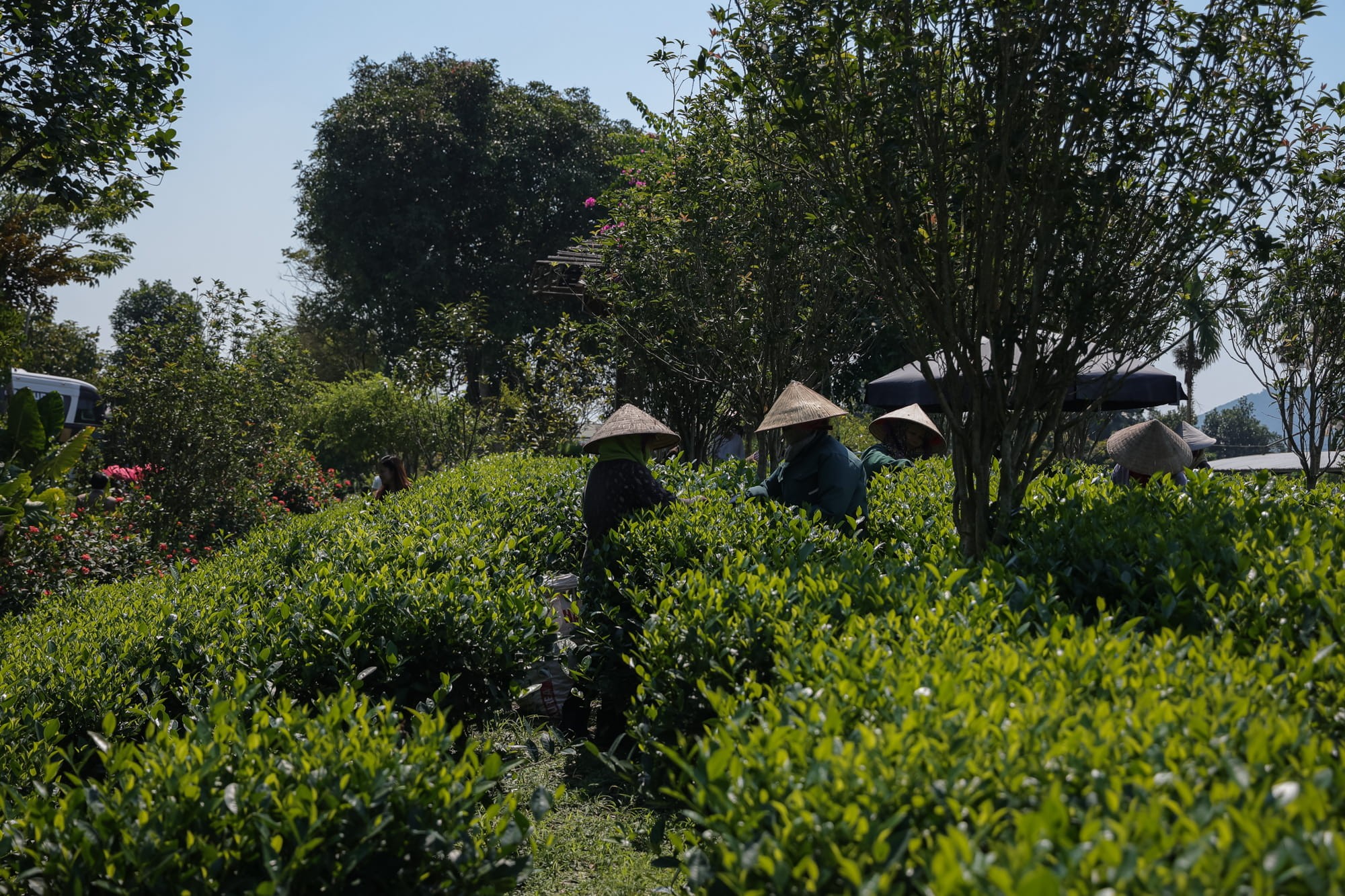 Tour Tân Cương - La Bằng - Hồ Núi Cốc 2N1Đ 4